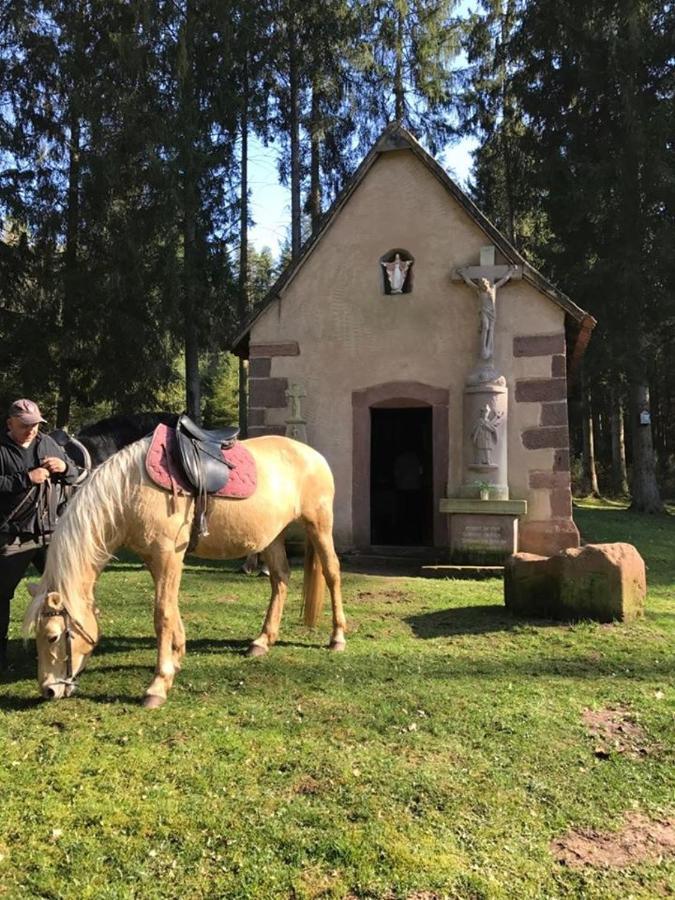 Villa Maria Petit-Rederching Экстерьер фото
