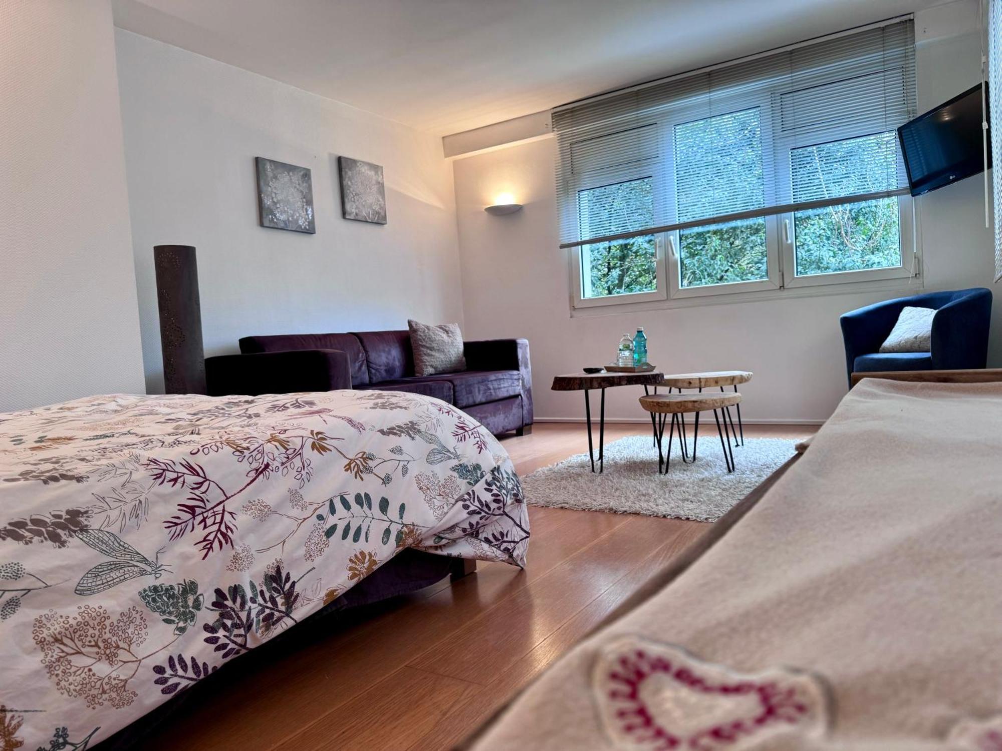 Villa Maria Petit-Rederching Экстерьер фото